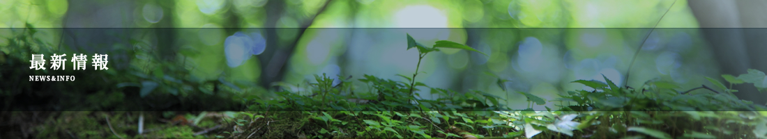 最新情報